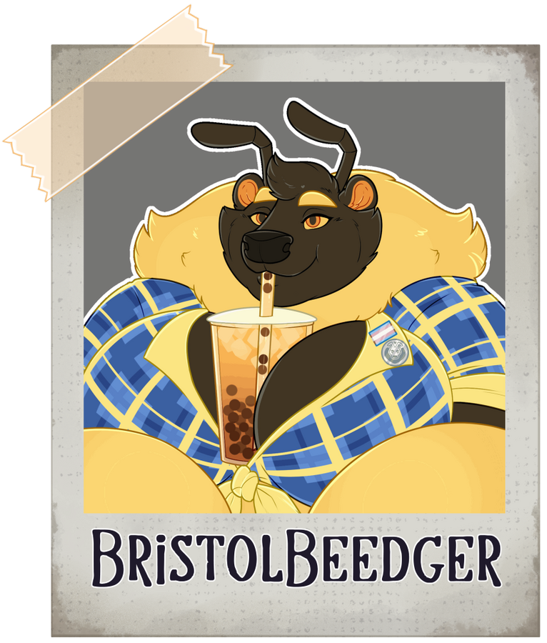 bristolbeedger