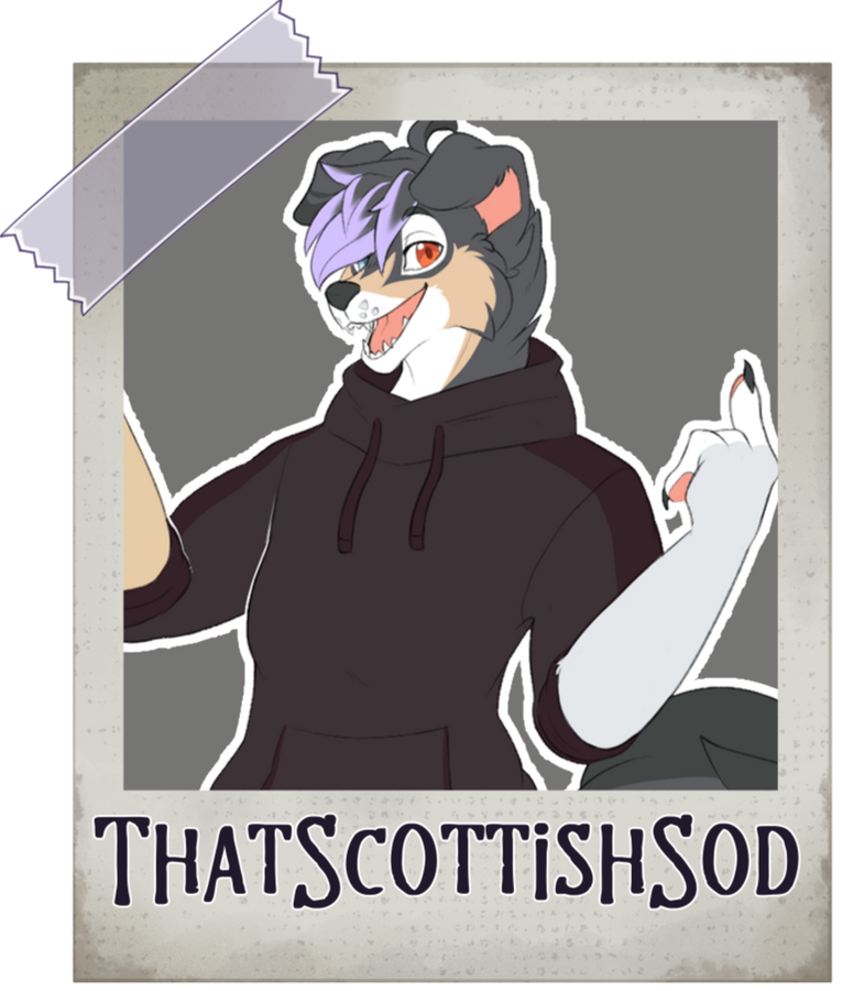 thatscottishsod