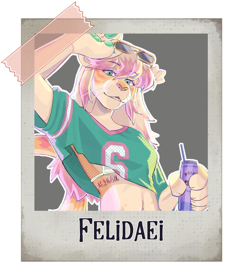 felidaei