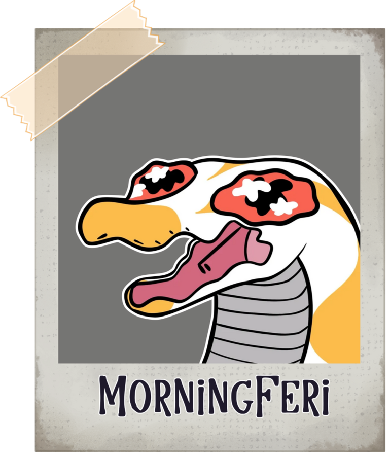 morningferi
